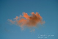 LSW photo029