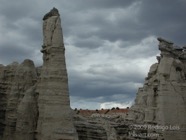 LSW photo031
