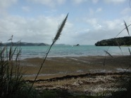 LSW photo035