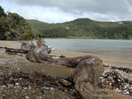LSW photo036