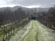 LSW photo038