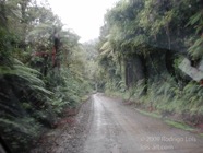 LSW photo039