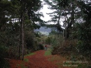 LSW photo043