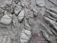 LSW photo049