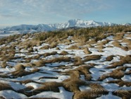 LSW photo050