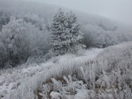 LSW photo053