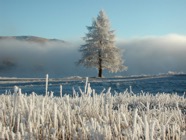 LSW photo059