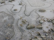 LSW photo060