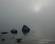 LSW photo061
