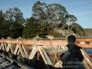 LSW photo062