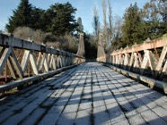 LSW photo063