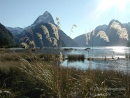 LSW photo065