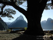 LSW photo067