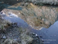 LSW photo068