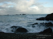 LSW photo069