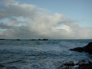 LSW photo070