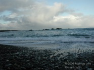 LSW photo071