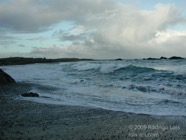 LSW photo072