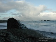 LSW photo073