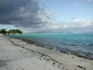 LSW photo080