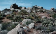 LSW photo083
