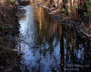 LSW photo084