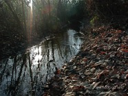 LSW photo085