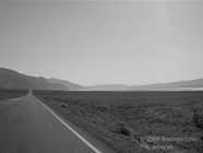 LSW photo087