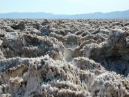 LSW photo088