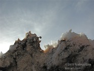 LSW photo089