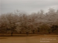 LSW photo096