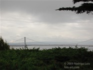 LSW photo097