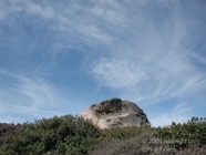LSW photo099