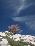 LSW photo100
