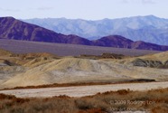 LSW photo108