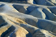 LSW photo111