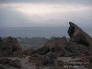 LSW photo112