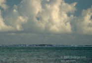 LSW photo114