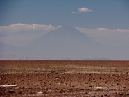 LSW photo118