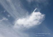 LSW photo121