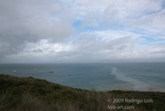 LSW photo126