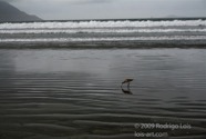 LSW photo127