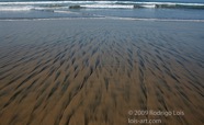 LSW photo130