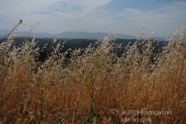 LSW photo131