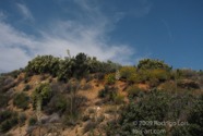 LSW photo133