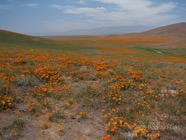LSW photo135
