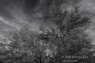 LSW photo142