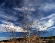 LSW photo143