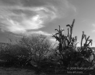 LSW photo144