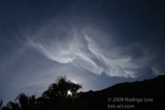 LSW photo146